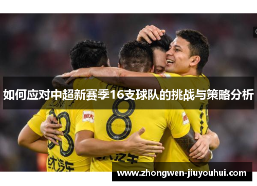 如何应对中超新赛季16支球队的挑战与策略分析