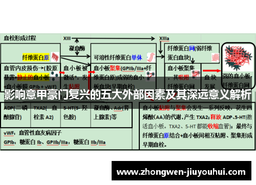 影响意甲豪门复兴的五大外部因素及其深远意义解析 影响意甲豪门复兴的五大外部因素及其深远意义解析