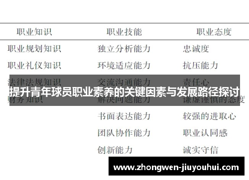 提升青年球员职业素养的关键因素与发展路径探讨