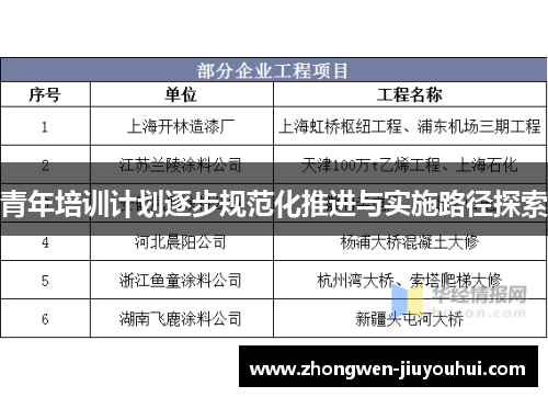 青年培训计划逐步规范化推进与实施路径探索 青年培训计划逐步规范化推进与实施路径探索